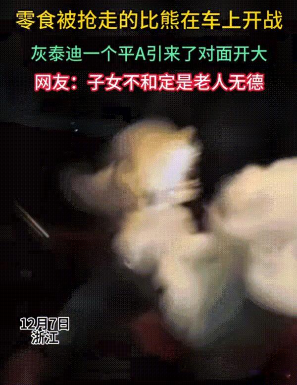 笑不活了！浙江，女子养了两只狗狗它俩是一起从小长大的，一天女子带它俩出门。各自都