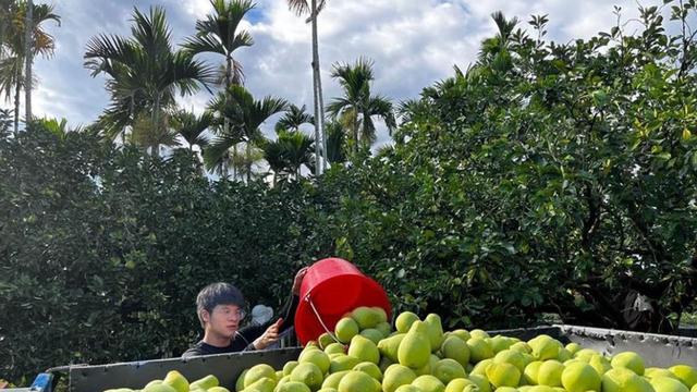 大陆释放善意,赖清德不领情,国务院再度出手,宣布对台新决定