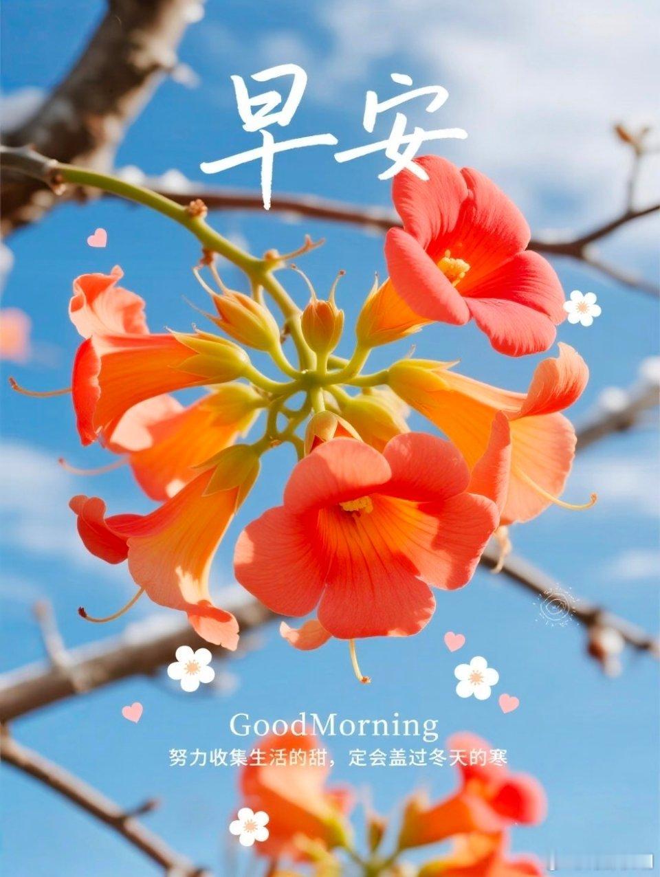 只要在路上，就没有到达不了的远方，一万个美丽的未来，抵不上一个温暖的现在🌈早