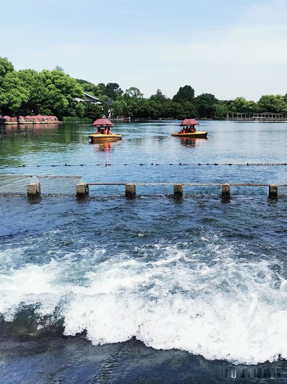 边走边拍杭州西湖南山路边“小南湖”，小南湖是西湖的一部分，在西湖南侧，苏堤和花港