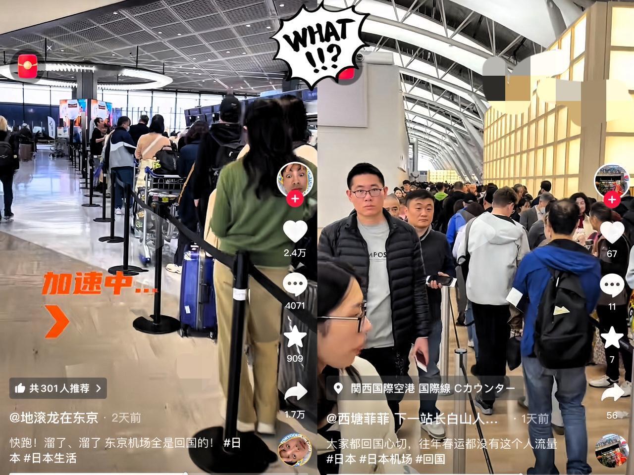这两天，日本各大机场里排队办票的，几乎清一色是中国面孔。没人慌乱，只是忽