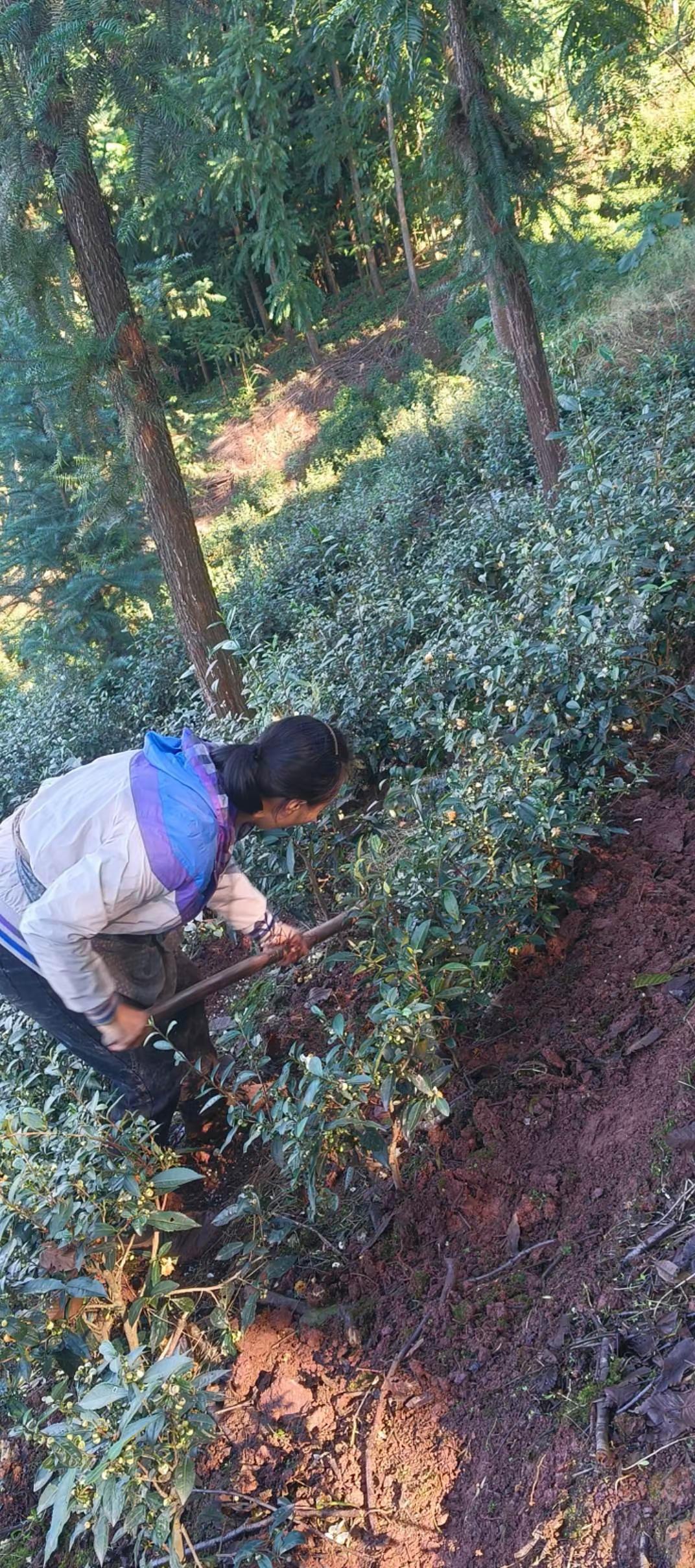 什么是真正的夫妻<img...