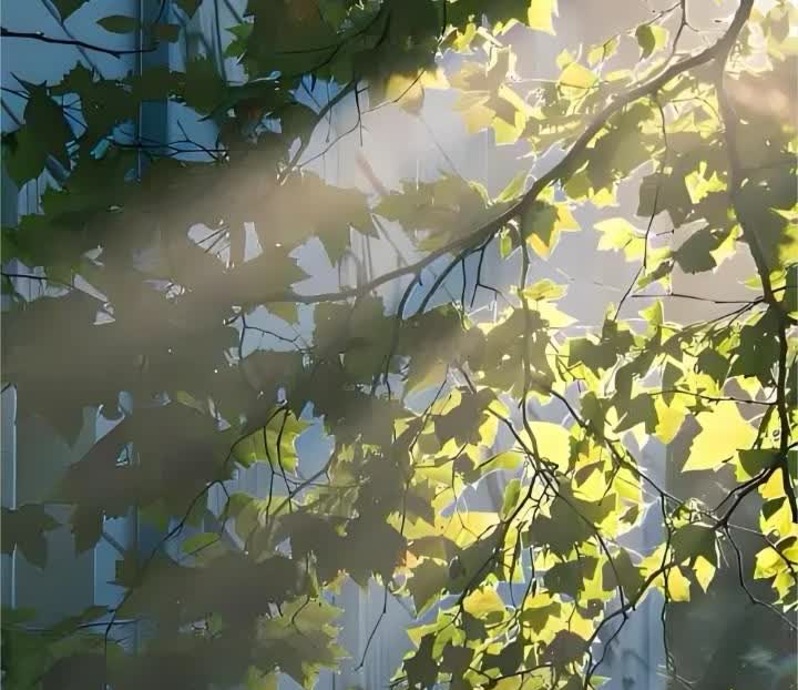 前几天傍晚，和朋友一起去河边钓鱼，结果差点没把我俩给吓死。当时我们，正美