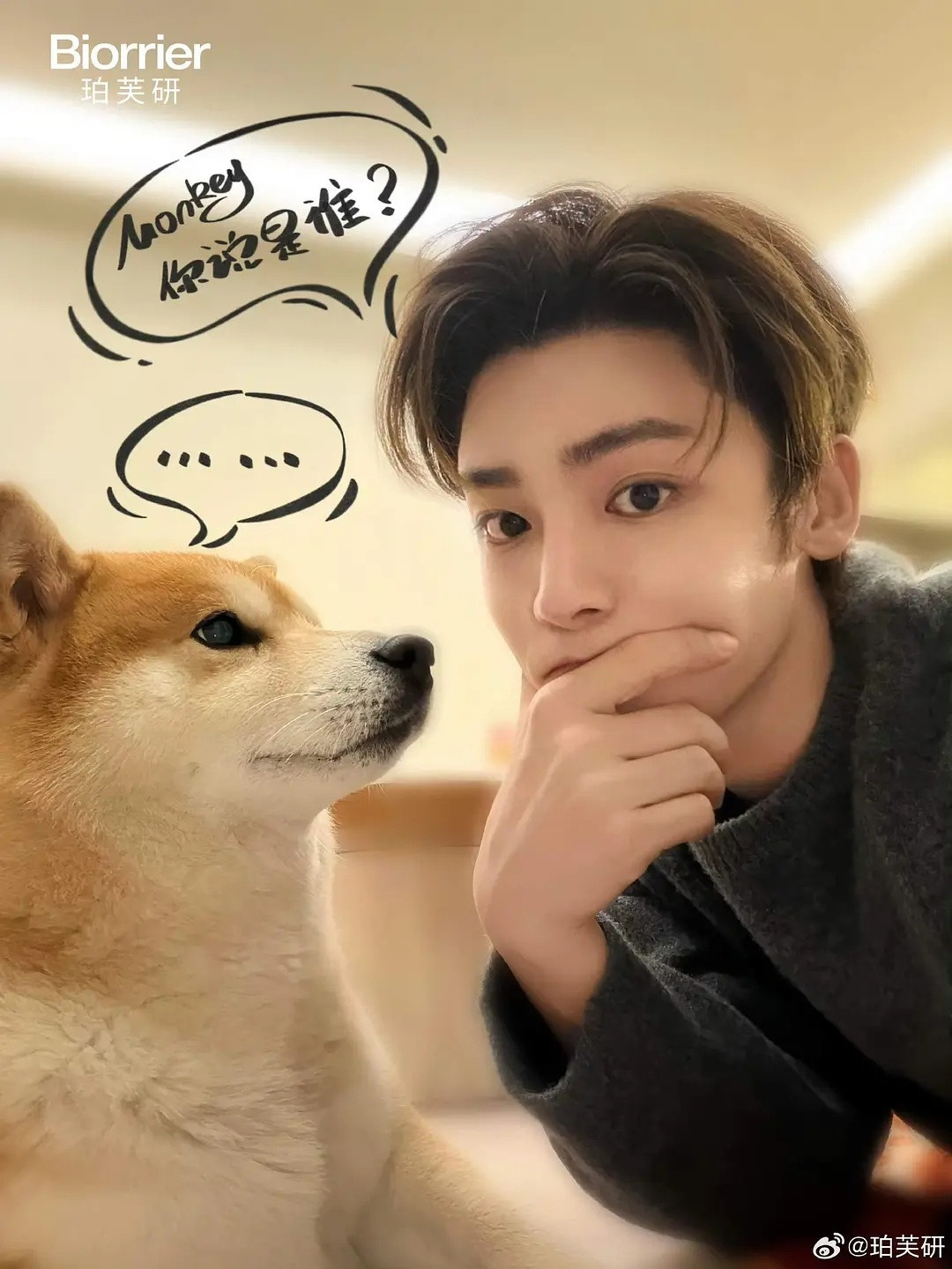 侯明昊的柴犬monkey即将官宣第二个代言​​​