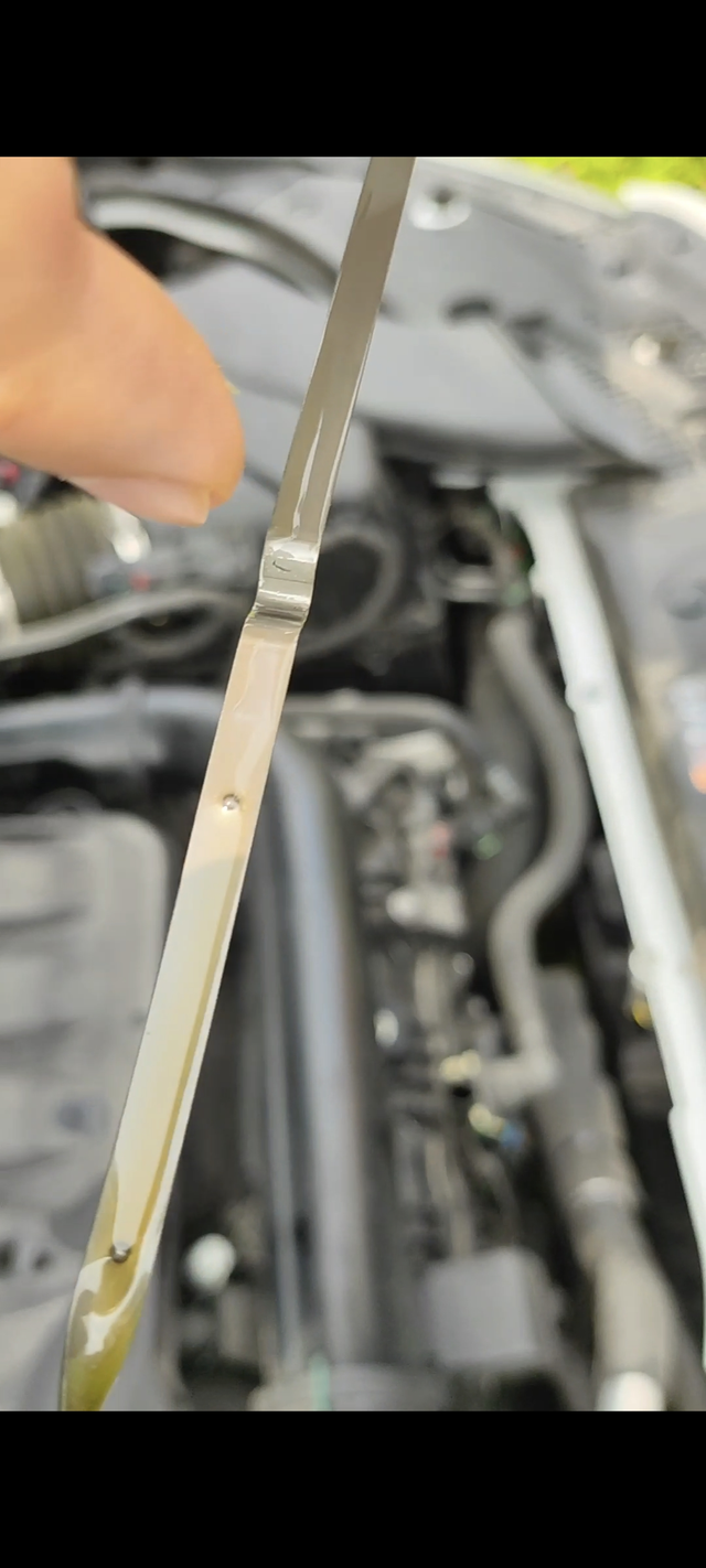 4儿子店机油加多是故意的吗半个月前车辆二保，在4儿子店做的。之后跑了近200k