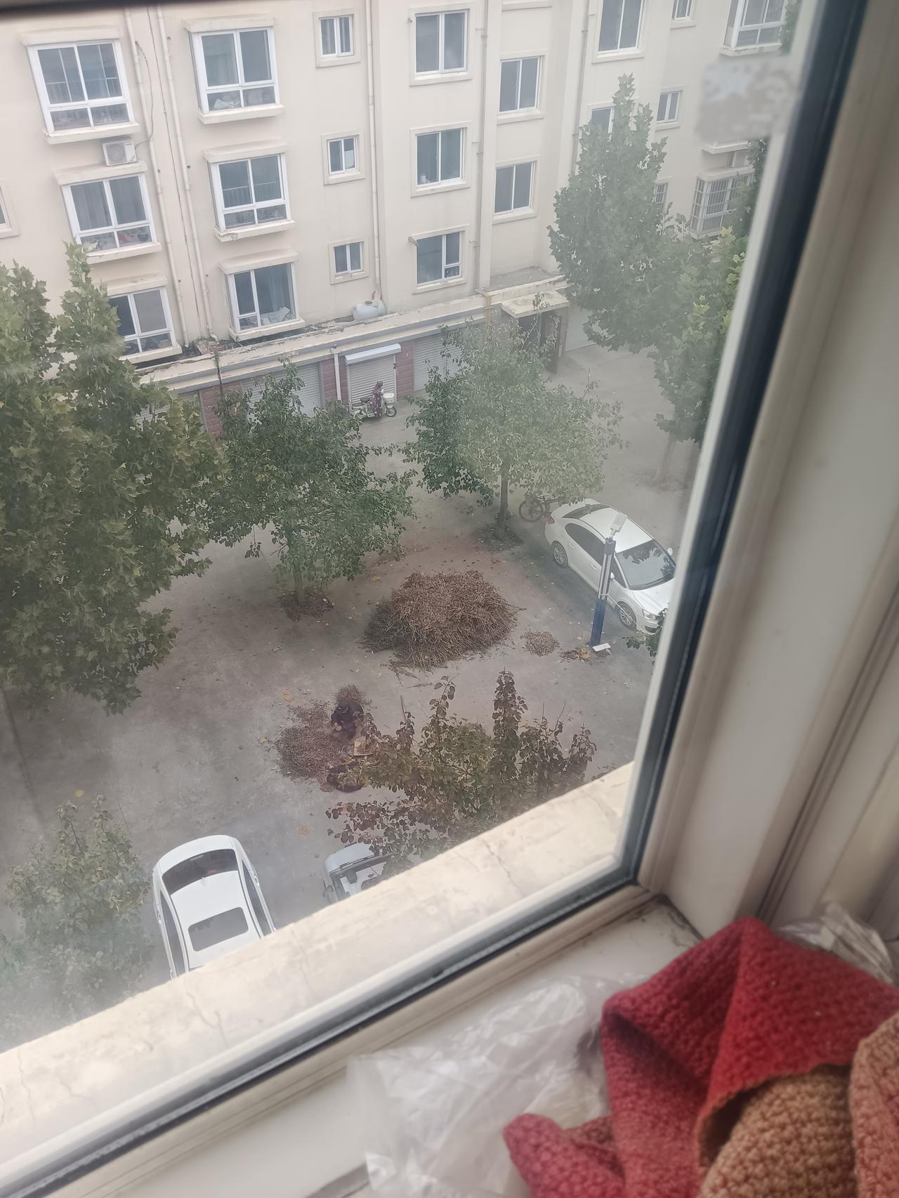 哈哈，今天笑死我了，今天刷到一个视频，学生早恋老师叫家长，男生的爸爸先到，一眼就