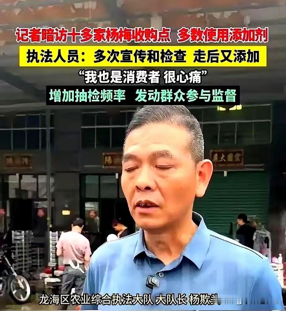 浮宫杨梅，一个年产值十亿的水果，一个养活几万人的水果，一个享誉全国的水果，最近却