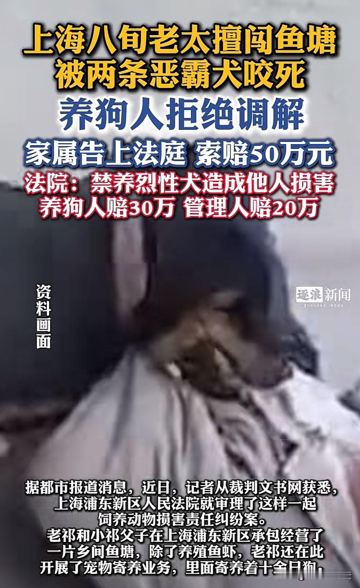 上海，八旬老太凌晨遛弯，跑进个人承包的鱼塘捡粽叶，被鱼塘里的恶霸犬撕咬致死。事后