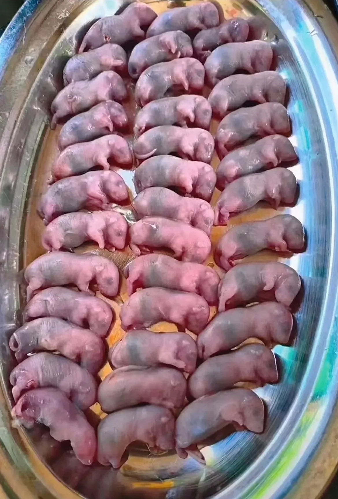 不知还是清蒸吃还是油炸吃？烤着吃可以吗？