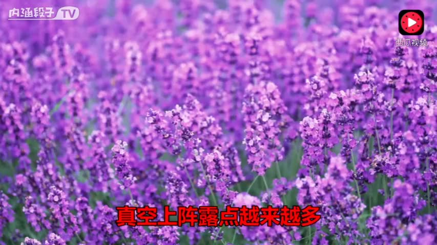 2901166221595013915.jpg?id=0