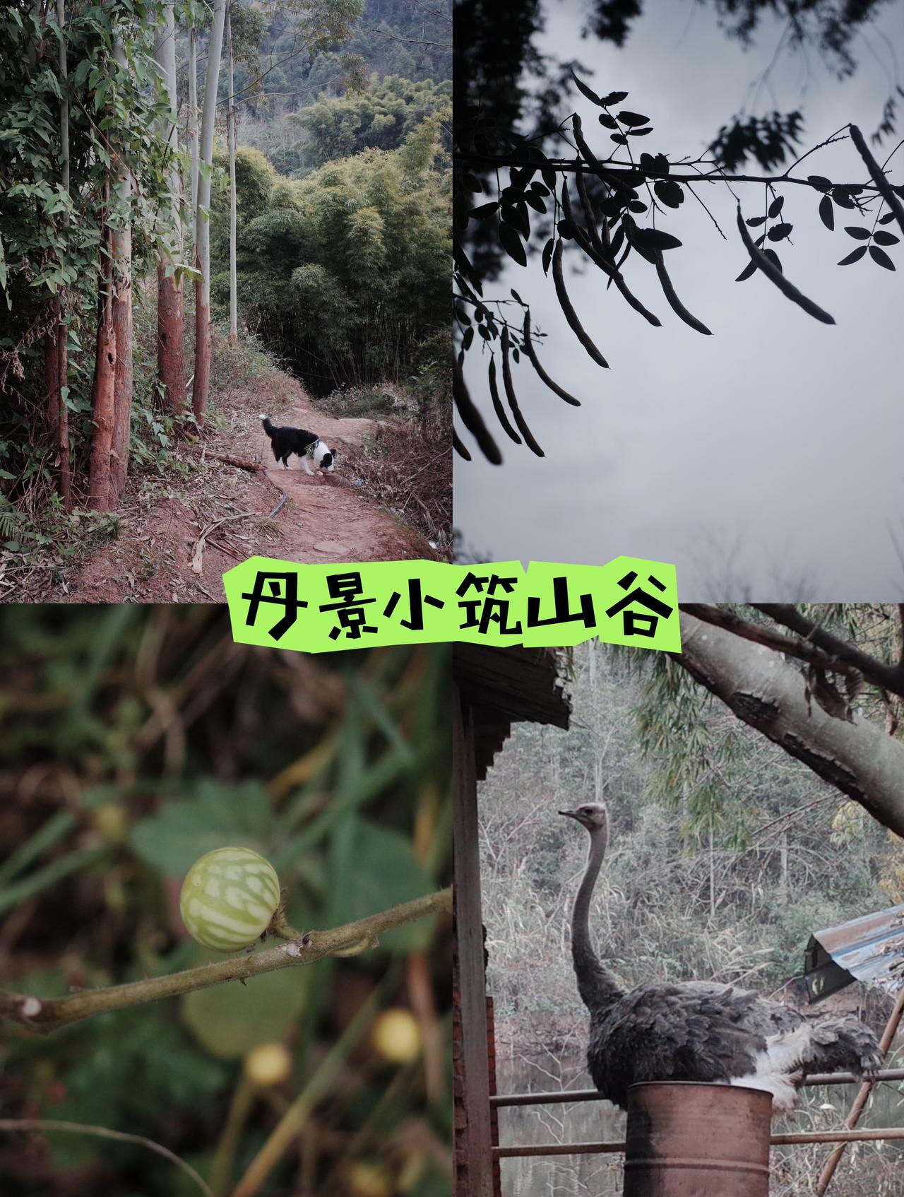 成都南门40分钟可抵达❗️徒步但不推荐版【总结】这条路线是两步路上的“轻松”