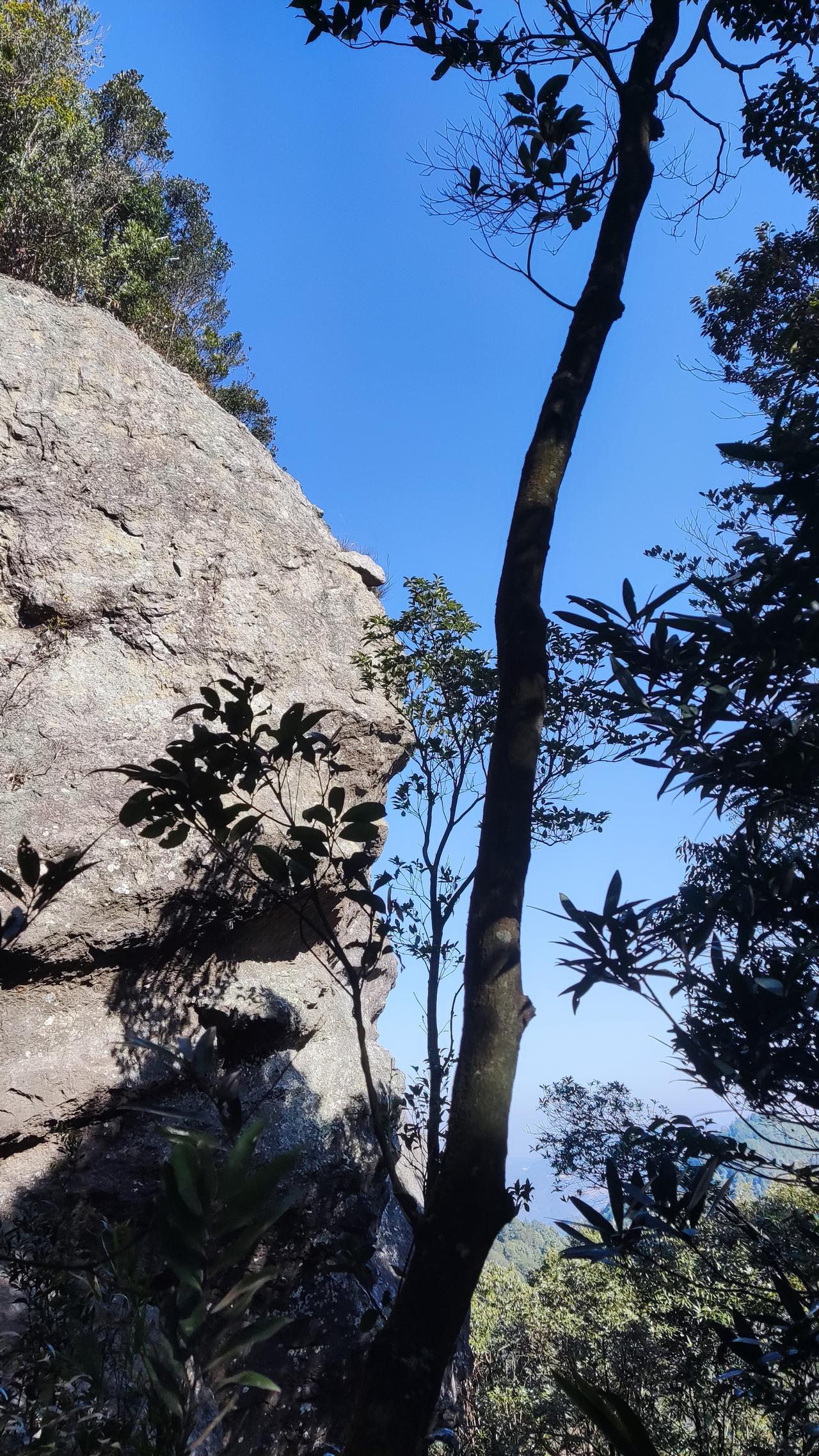 公积金大改革：你必须知道的最新动向！公积金改革大动作要来了，关系到每个家庭的