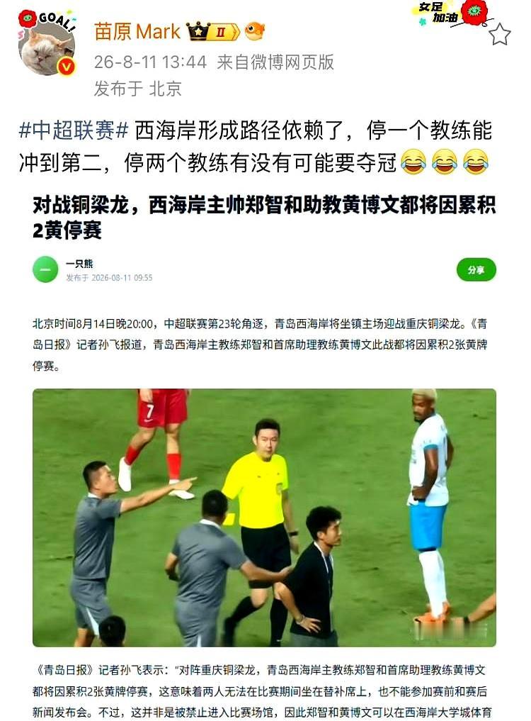 郑智又被停了，这回不是一个人“下场”，连黄博文也一起被带走。苗原那句玩笑挺扎心
