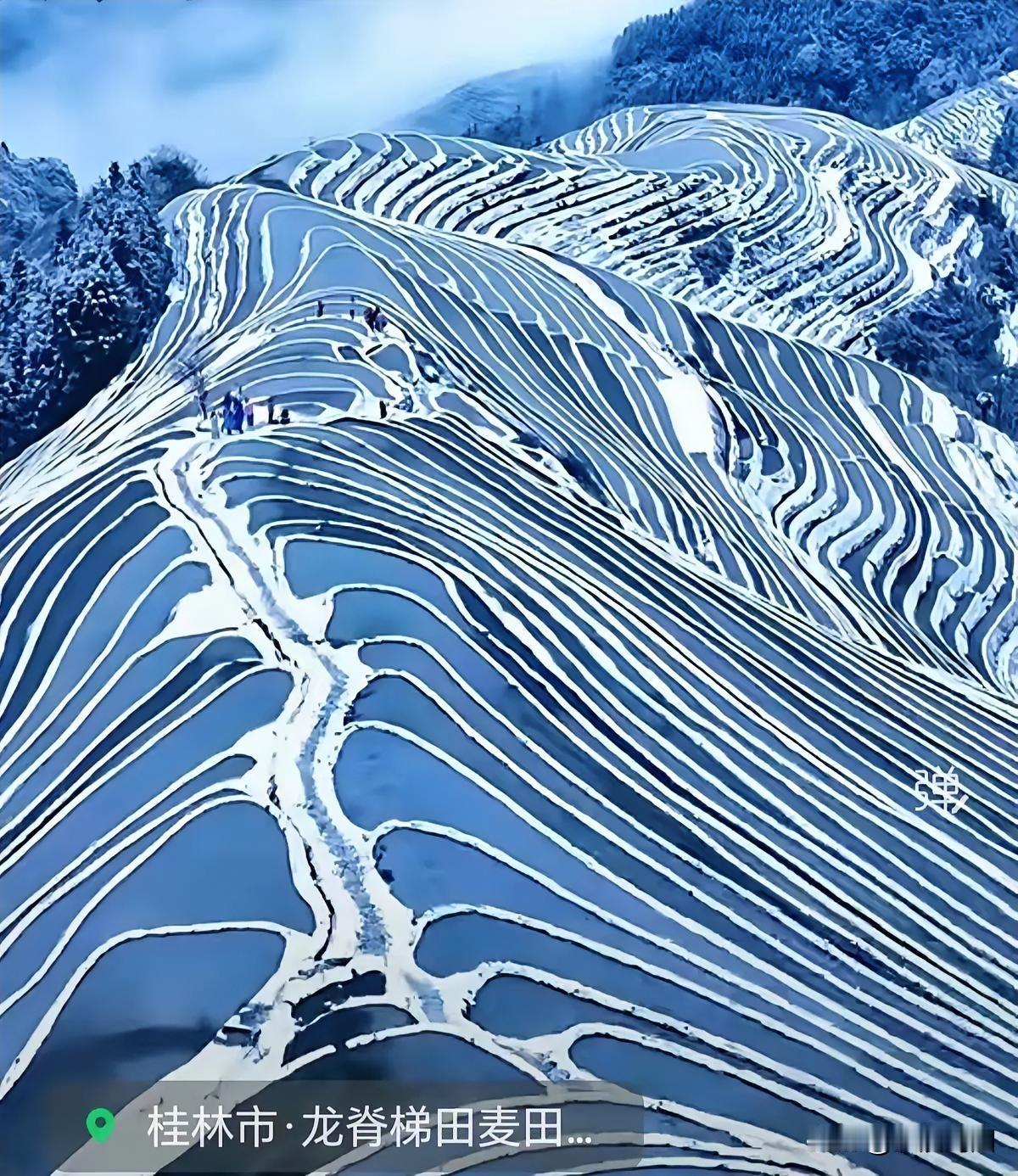 冬日的桂林市龙脊梯田，雪景如画，美轮美奂！广西雪景龙脊梯田龙脊山旅游田园龙