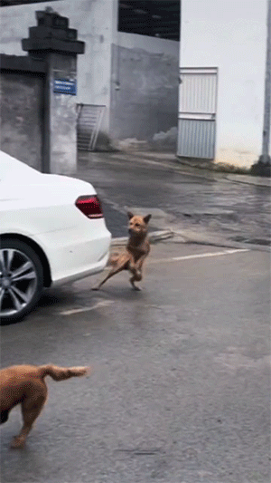 这身法，韦一笑来了都得喊一声NB