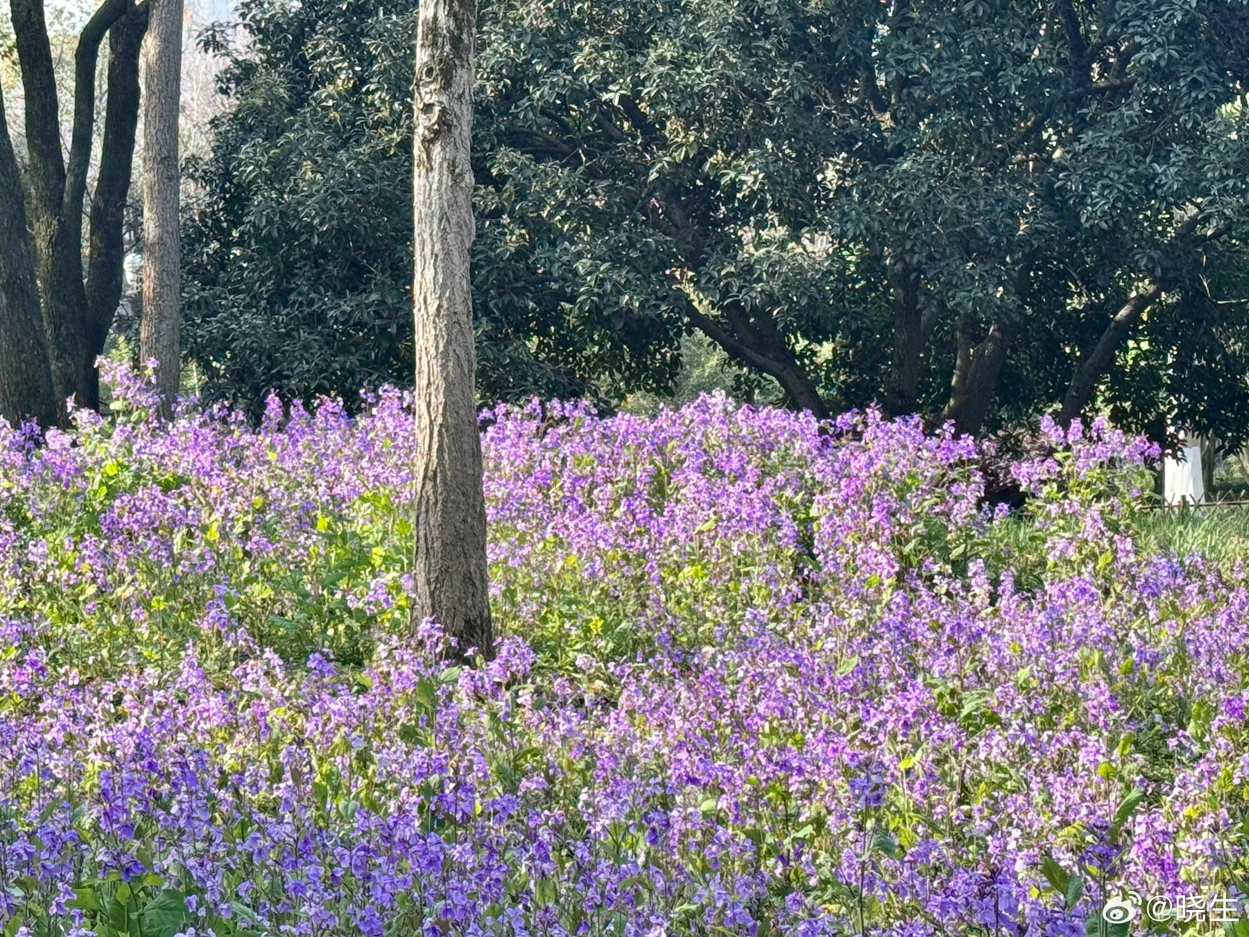 我做情感咨询这么多年，见过太多女生把“安全感”三个字直接等同于彩礼金额好像数字越