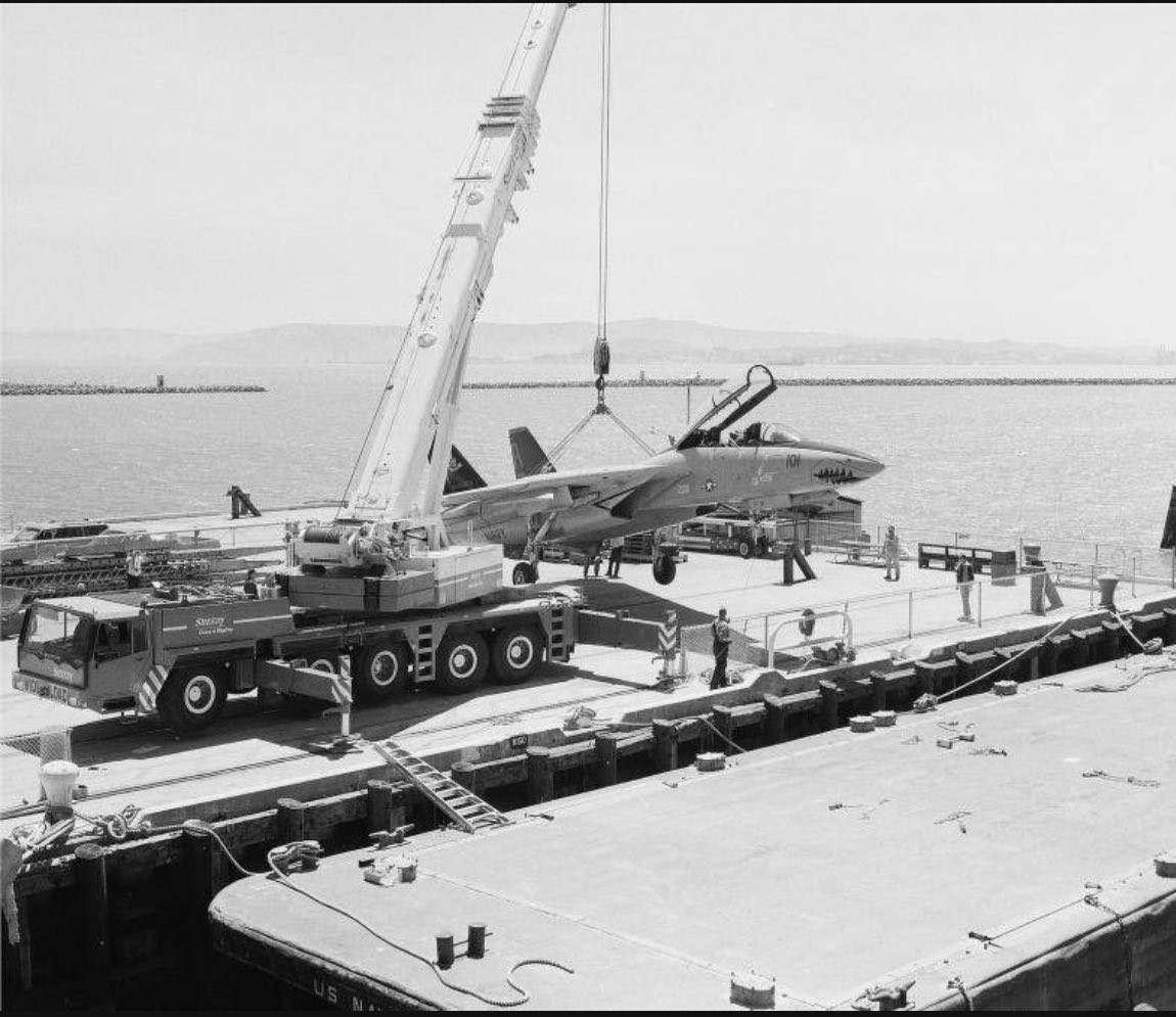 猫宁。被拎住后脖颈的F-14大猫