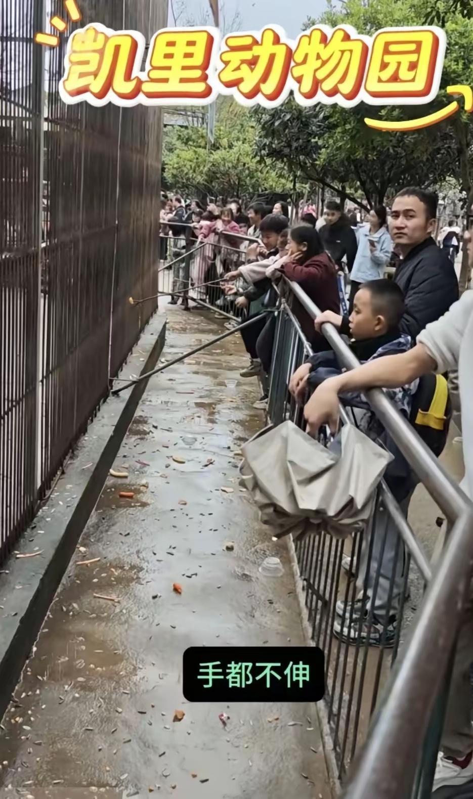 不是碰瓷是什么，凯里动物园防护措施已经做的非常合格了，如果不是手贱，翻进护拦，这