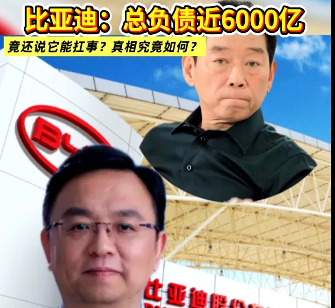 比亚迪这家公司完全经不起细究因为仔细查一查就会发现，这家企业实在