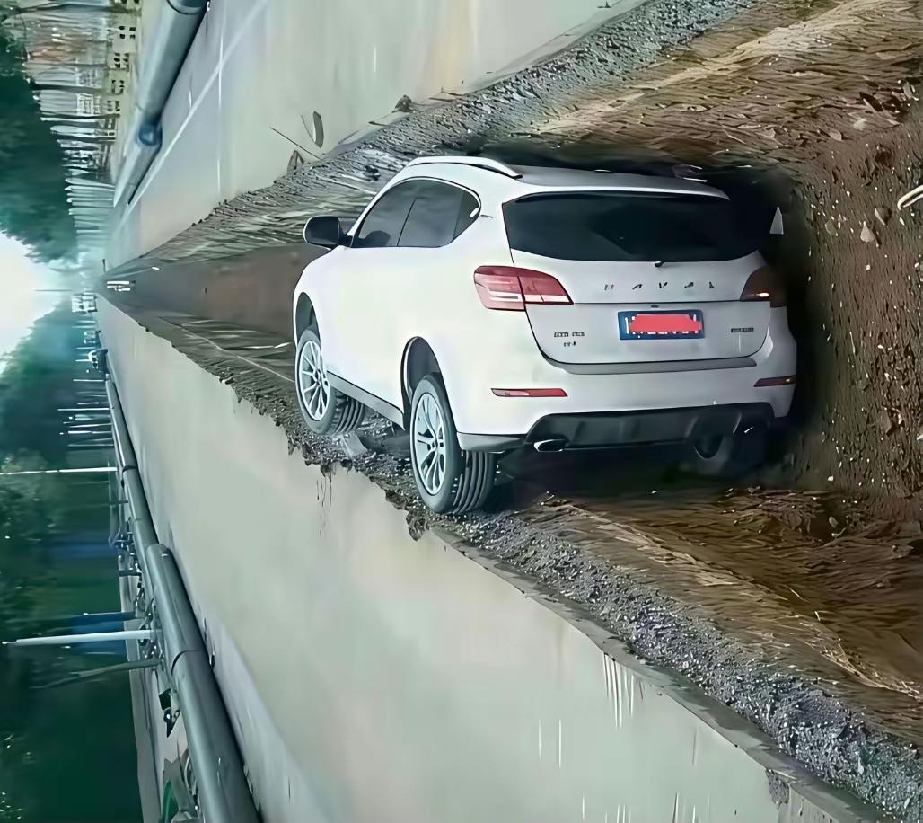 这停车技术真的是太牛了，简直惊为天人！