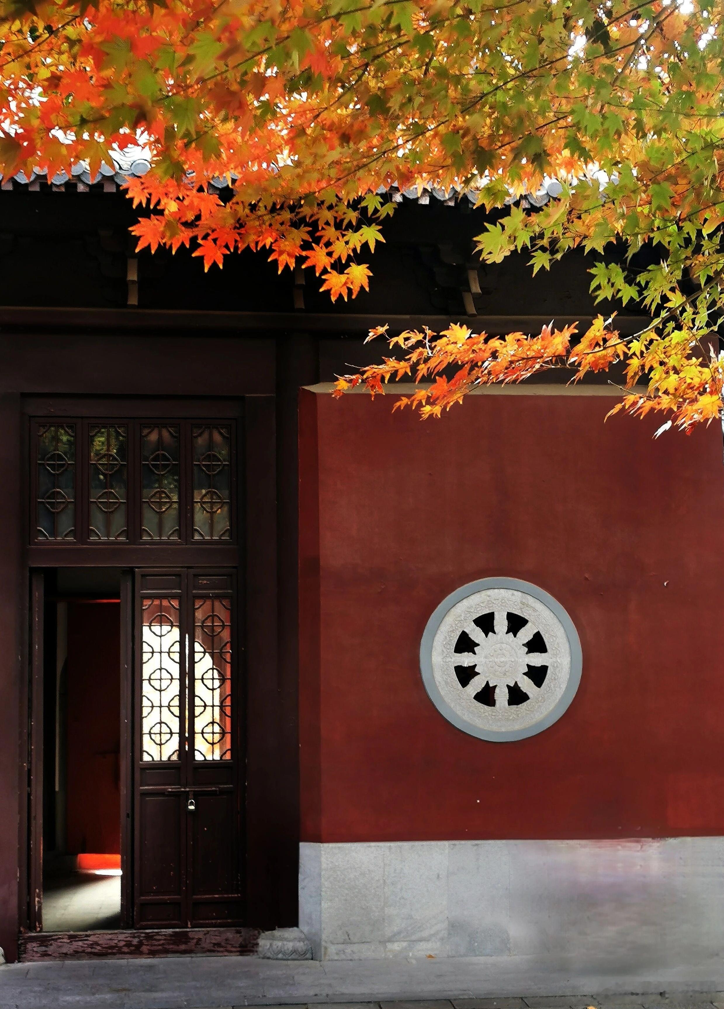 《太平年》里有两个老头。一个，九十多岁还能大口撕烤羊腿，手里攥着兵权，在朝堂上看