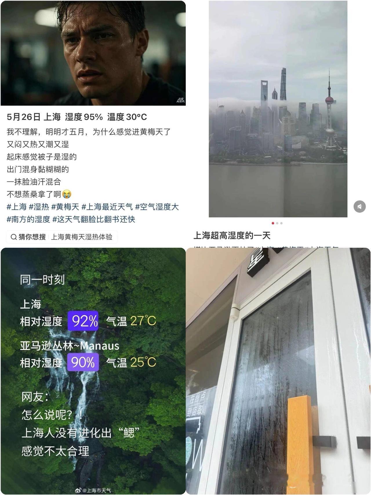 上海湿度92%，亚马孙丛林90%！全身黏糊！网友：上海人即将进化出鳃…上