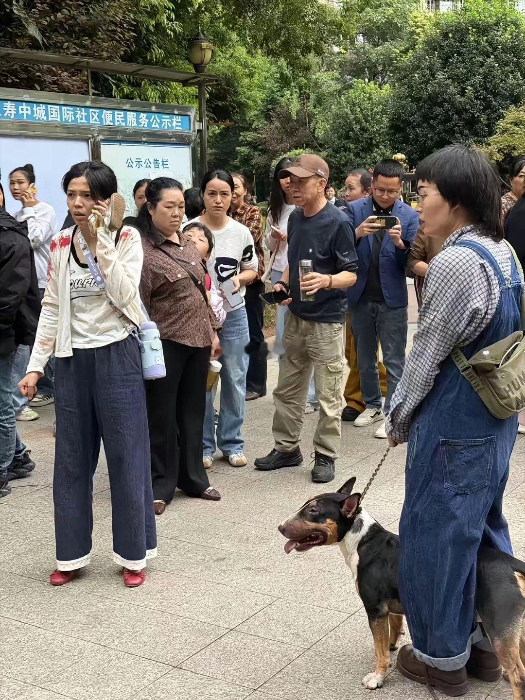 养狗的永远都觉得自己的狗不会伤人​​​