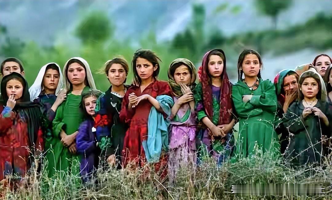 阿富汗的事情整整20年学习了西方先进的经验和体制结果呢？被一群从山里杀出