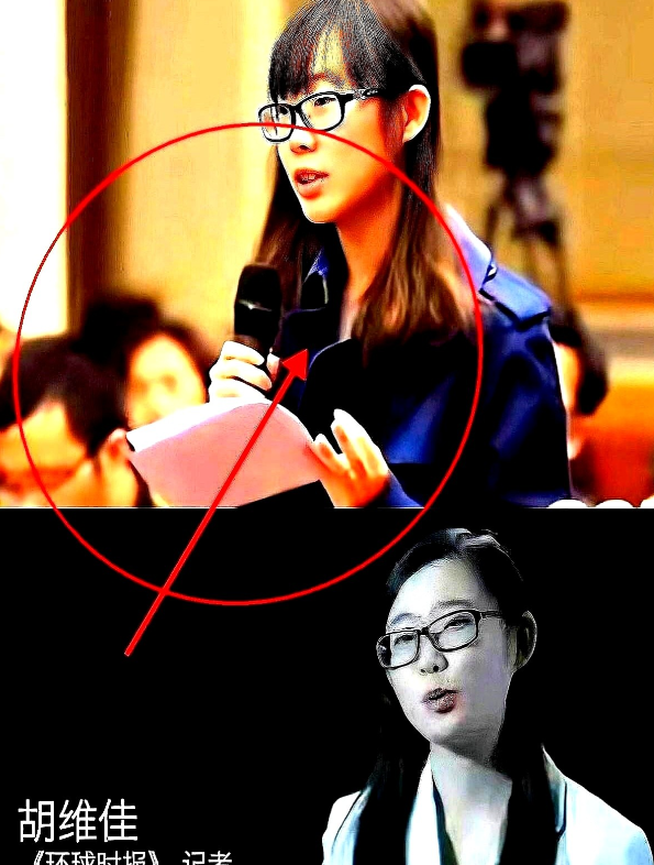 胡锡进女儿胡维佳的简历这两天被扒得透透的：复读考进国际关系学院、美国孔子学院镀金