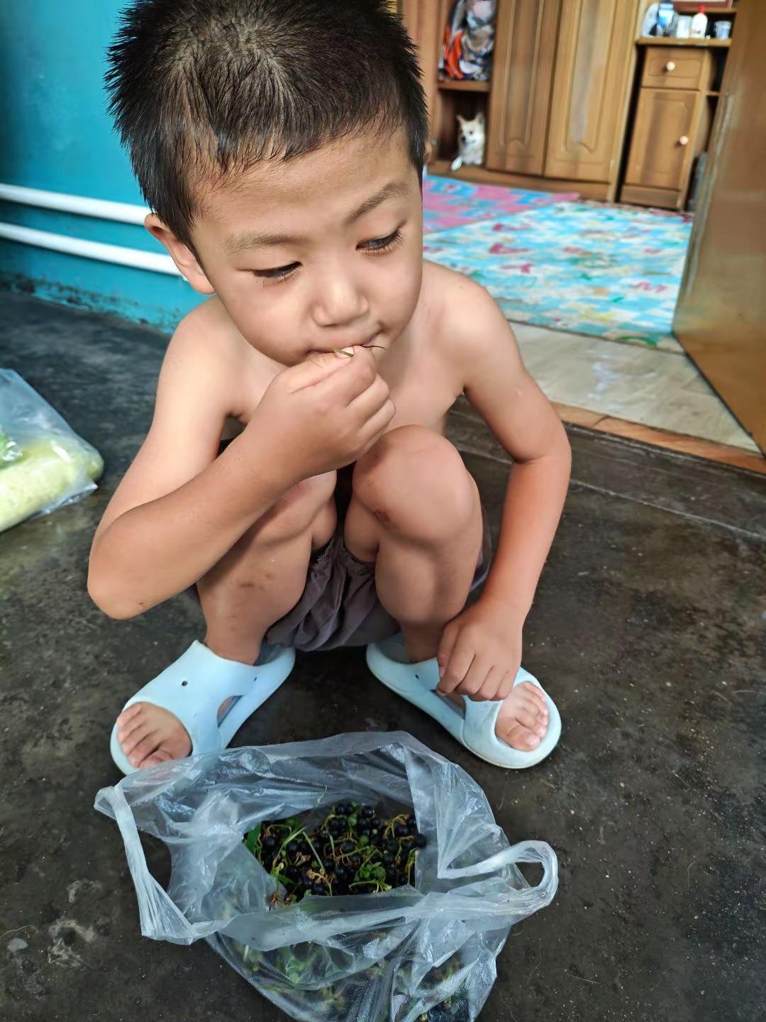 每年这时候都能吃到黑天天