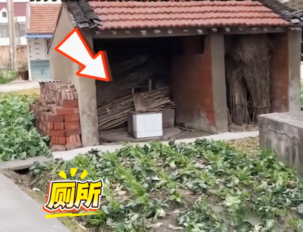 “太尴尬了！”江苏农村，一女子春节带男友回老家过年，结果发现家里厕所是完全开放式