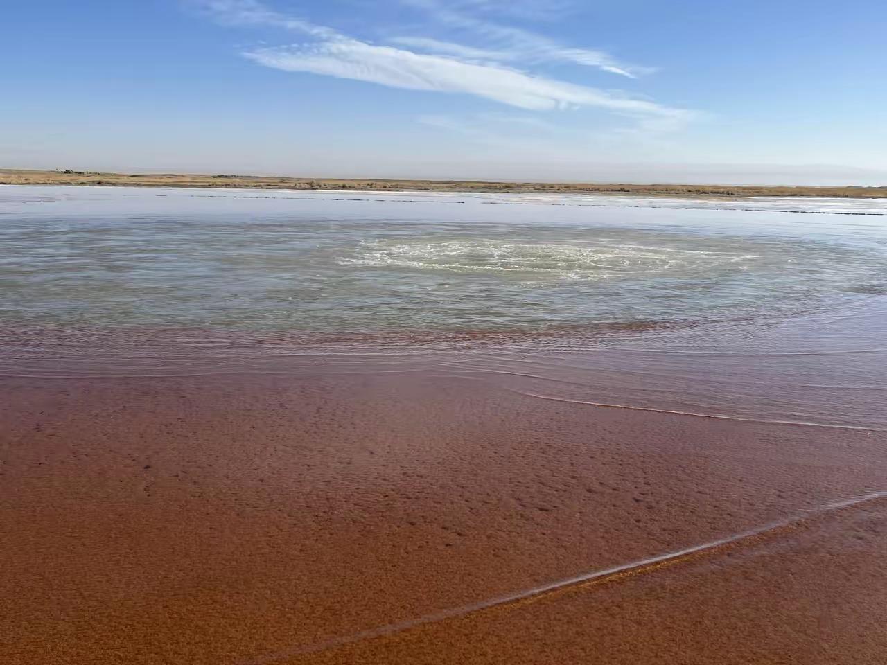 这件事很奇怪，狗是拴着的，怎么会咬人？一般来说，狗咬人有几种情况，一是被咬的人先