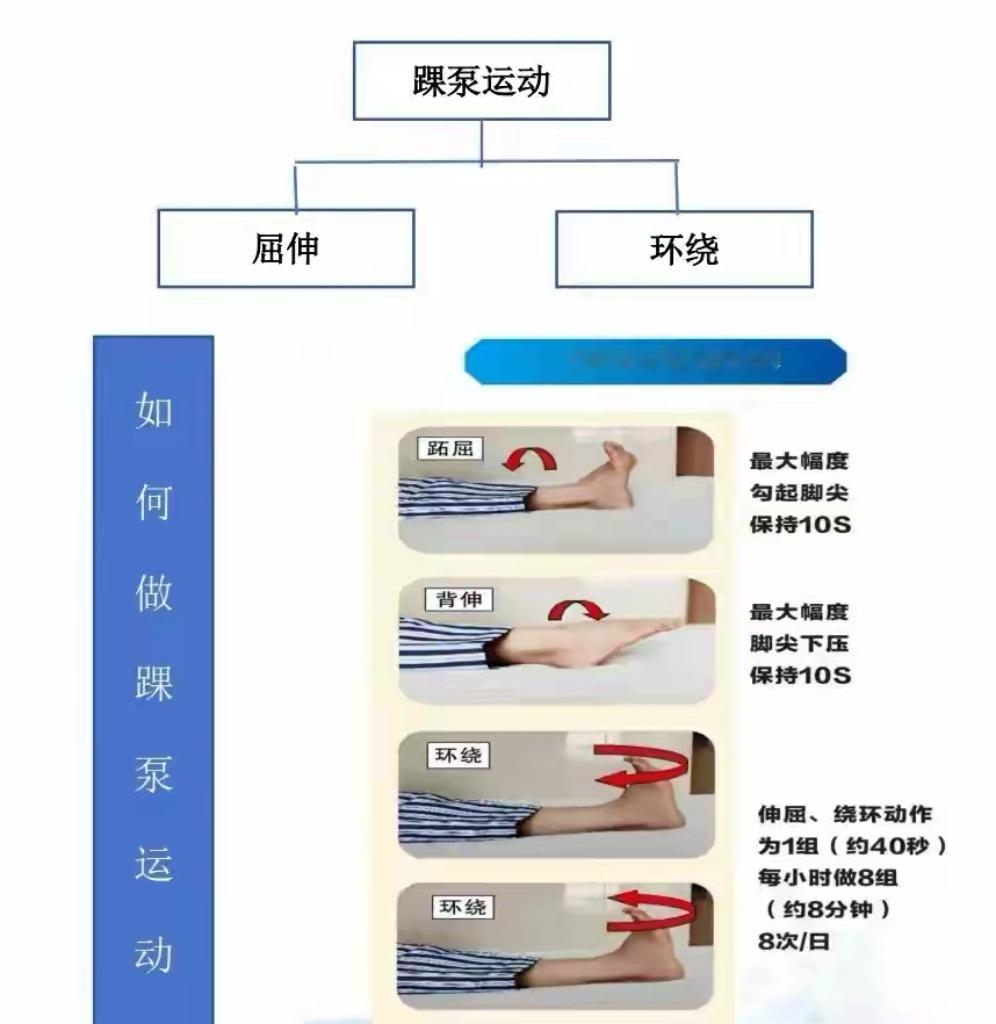 “人民日报推荐踝泵运动：每天5分钟，远离致命血栓的“隐形杀手”。”​​​