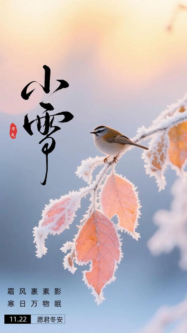 小雪时节，寒风轻抚，枝头凝霜。橙红的叶片边缘缀着银白的霜花，在晨曦微光中闪烁着晶