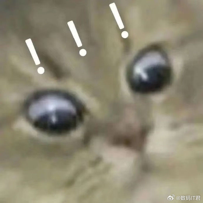 男大学生患桃花癫一周挥霍5万世界之大无奇不有，“桃花癫”？还真是第一次听说这个词