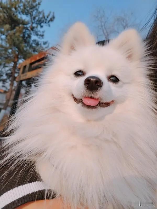 你不缺情商，只是没人告诉你这几个细节一、收礼时别装。别人给你礼物，别再假模假