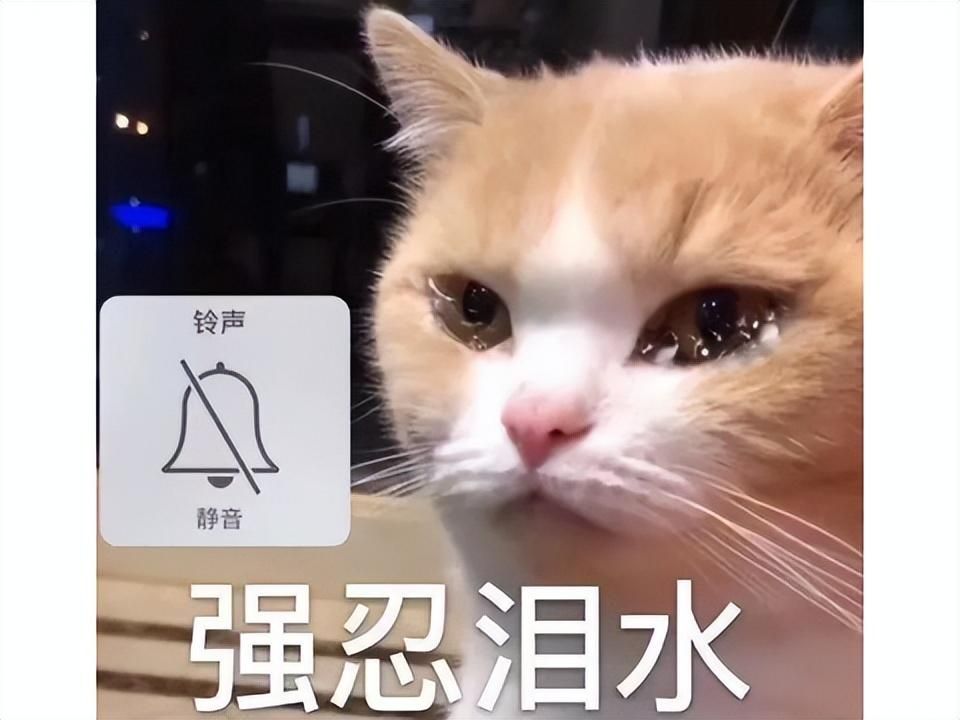 暴雪钦定10.0版本反派人选！梅森大佬留给玩家最后的温柔了？