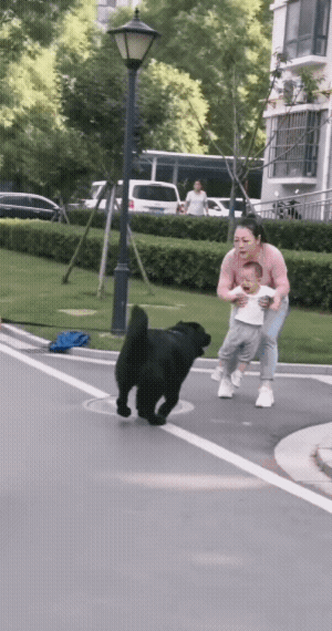 恶人养犬，狗仗人势；吓坏四邻，不去制止。邻居打狗，恶人暴怒；众人谴责，毫无