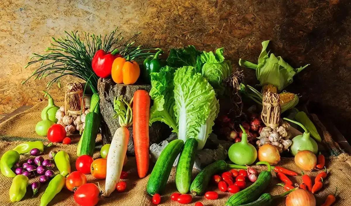 2026年最新全球数据直击：近4成癌症新发病例竟来自可控诱因，却仍有无数人每天在