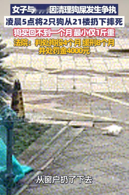 “这下后悔了！”2025年，浙江，一女子喝完酒后，凌晨回到家中，与妹妹发生争吵，