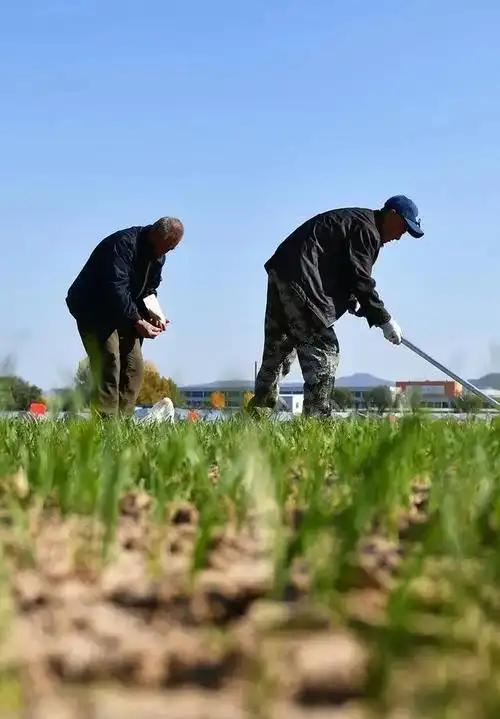 现在我们国家有一个非常矛盾的问题，都知道农民种地不赚钱，但粮食却不能涨价，因为粮