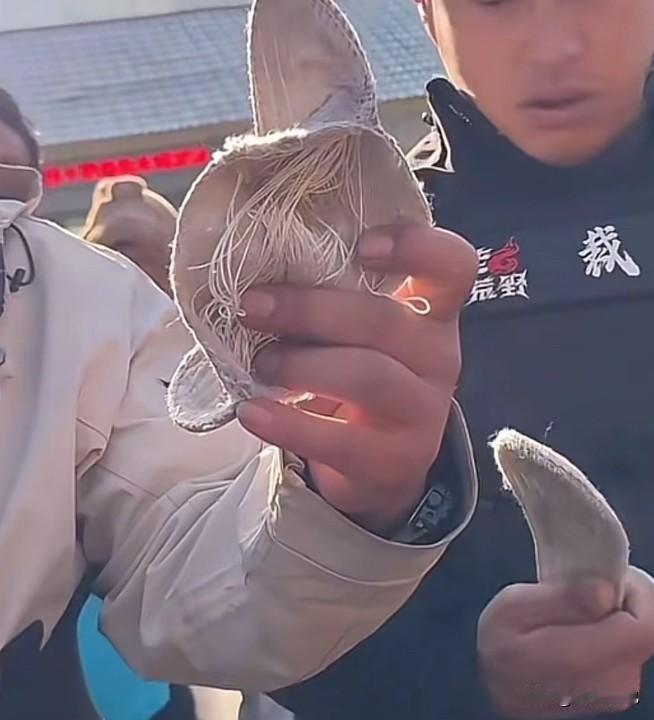 荒野求生老中医因为作弊被退赛了，我倒是不好奇他为什么会在这个节点去作弊，而是好