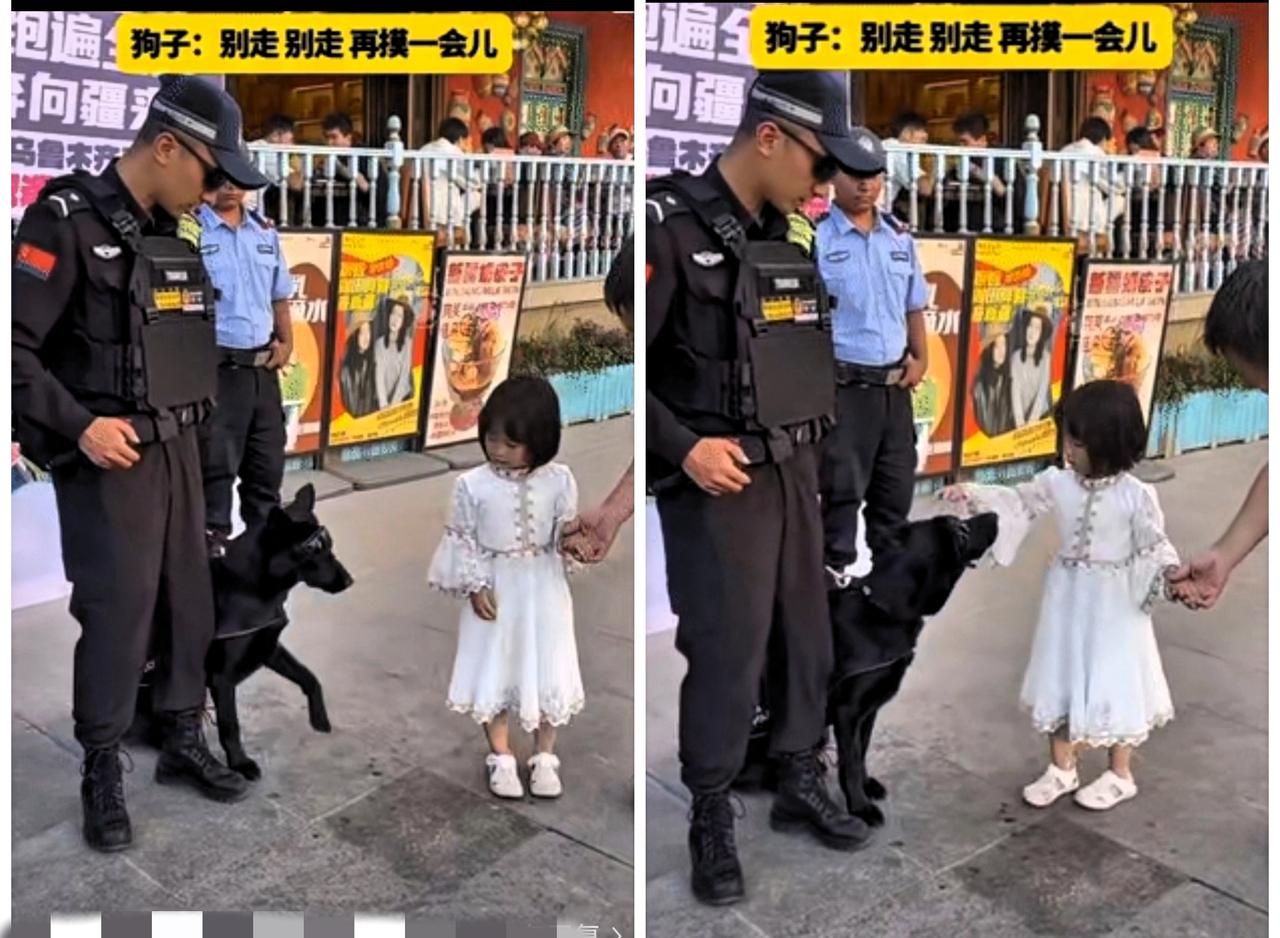 彻底解释不清了！谁能想到，严肃执勤的警犬也有“撒娇”时刻？新疆街头，帽子叔叔带