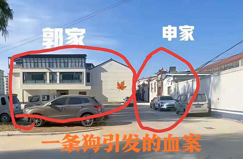 都知道“远亲不如近邻”，但山西长治间隔20米的郭家、申家，却因“1条狗命”成