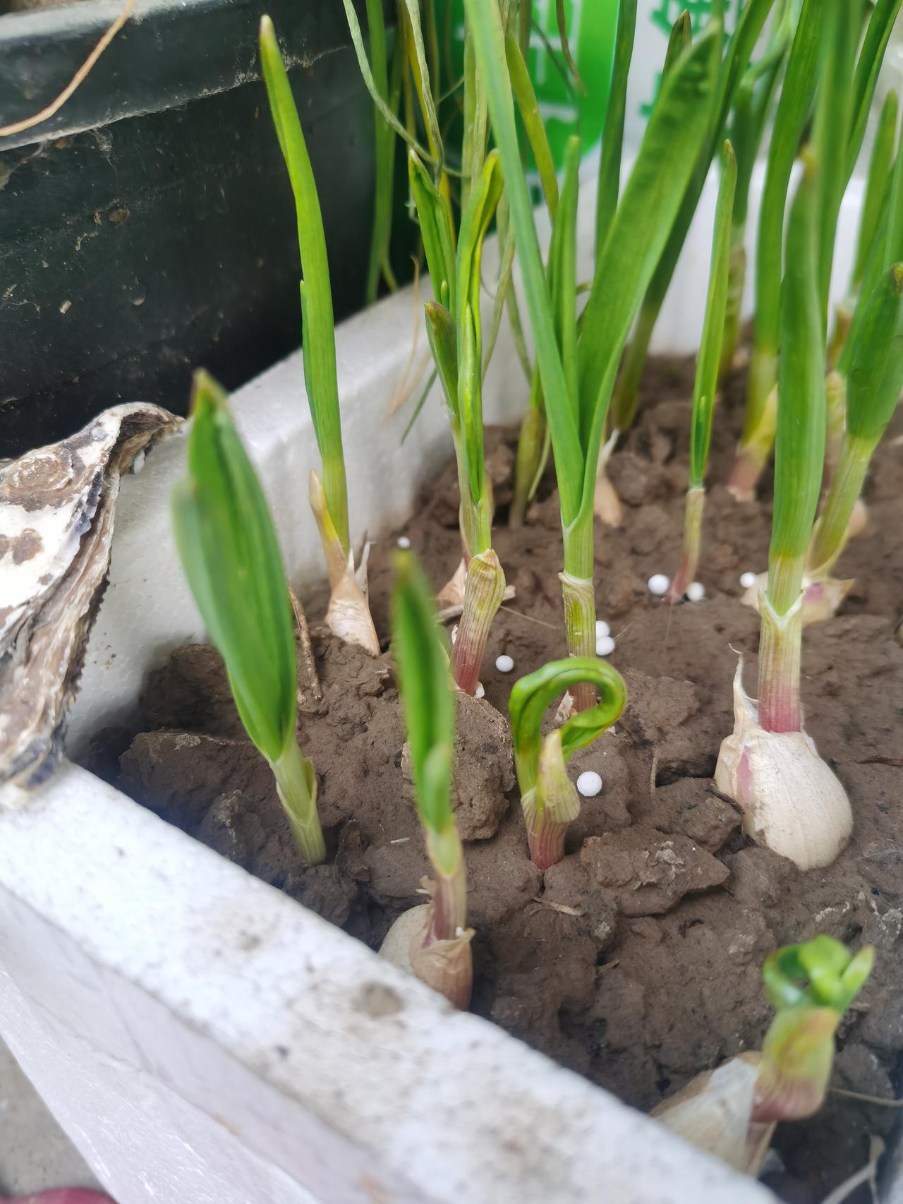 位于上海市区的某金融行业国企子公司关闭了！因持续亏损，无法盈利，开了几年的子公司