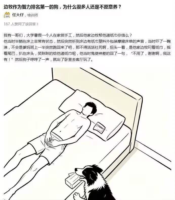 狗狗真棒👏👏主人打飞机狗狗帮忙递纸[抱抱]​​​