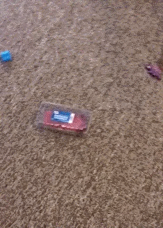 突然出现可把小孩哥吓了一大跳，下次可不敢这样了啊。