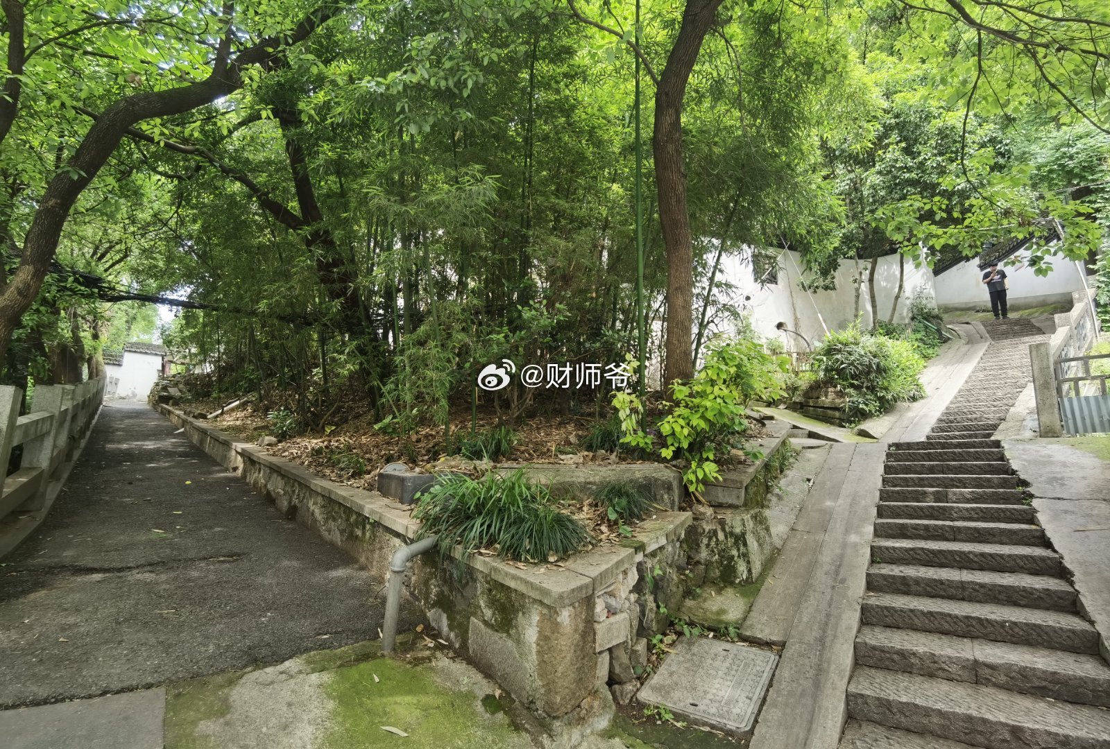 杭州的路，只要不是梧桐飘絮的季节来逛，还是很舒服的。​​​这里是被誉为“杭州