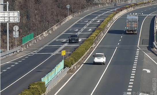 “我们在高速上，车子刹不住了，定速巡航关不掉，一直刹不住车……”1月14日，京昆