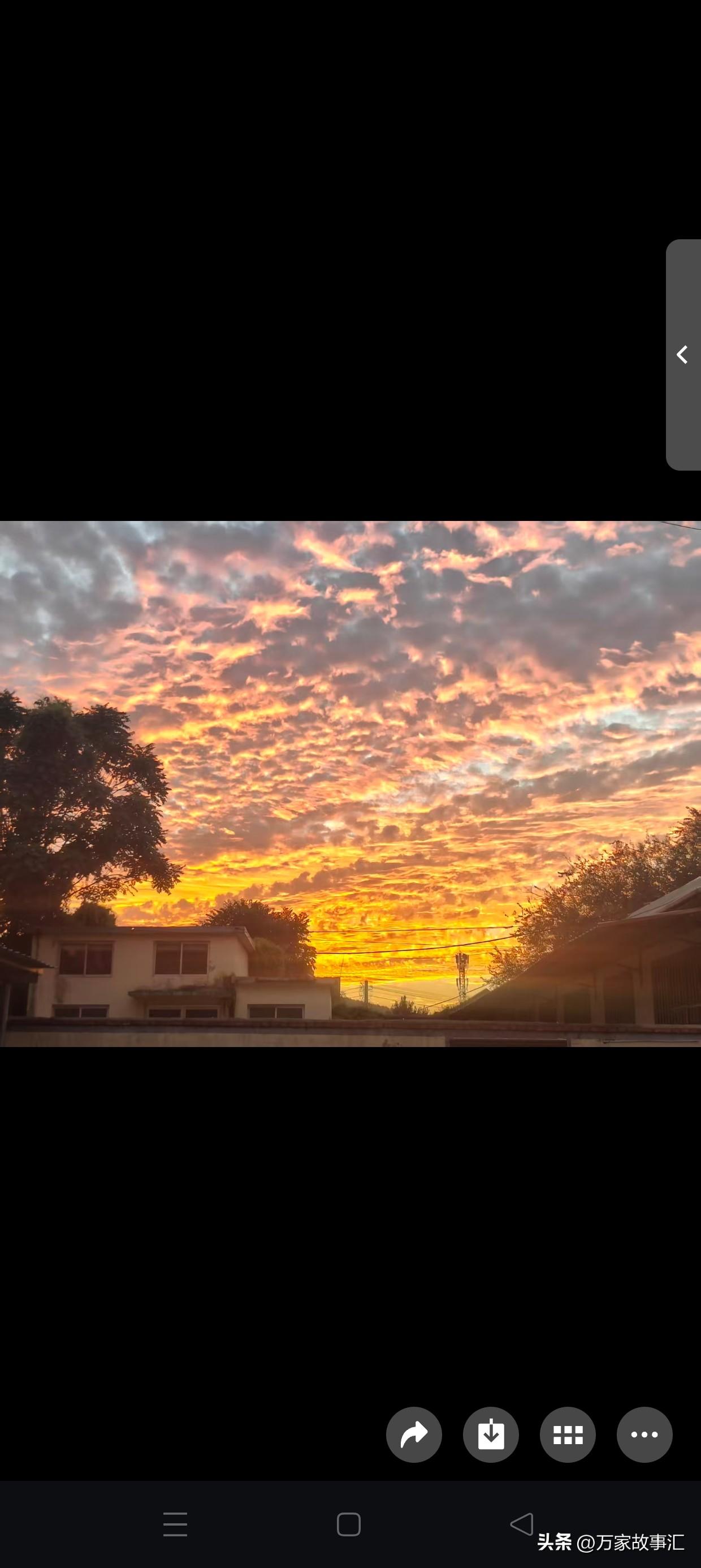 小时候我们村有个姐姐，脑子不太好使，智力就停在五六岁那样。但她妈是个特别细心的人